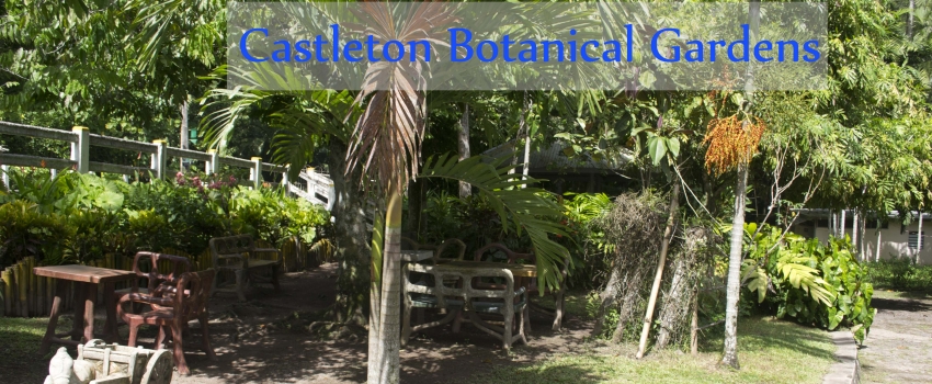 Castleton Botanical Gardens