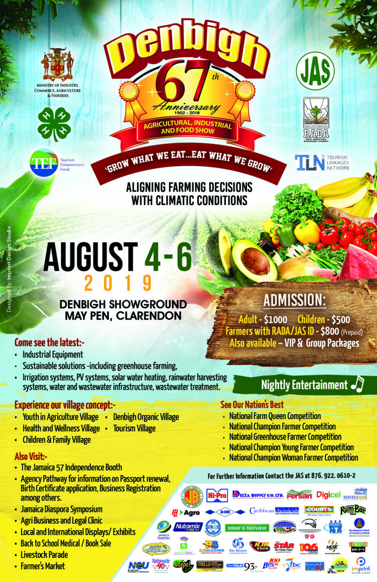 Denbigh Flyer 2019 final_Version_Print