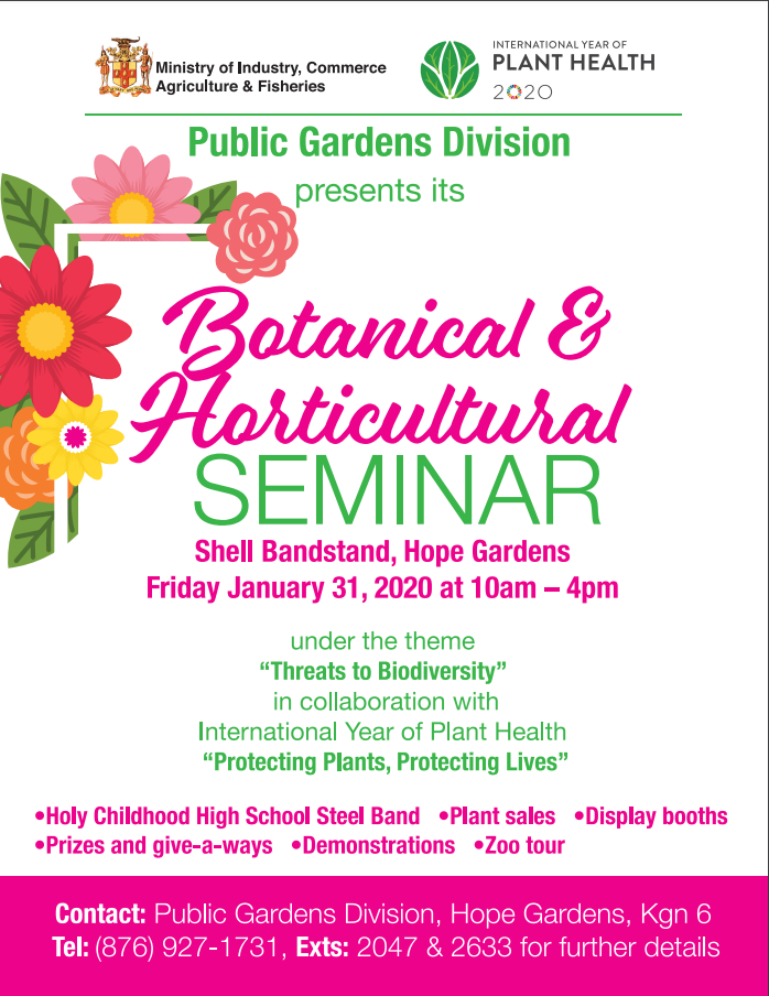Seminar 2020 Flyer