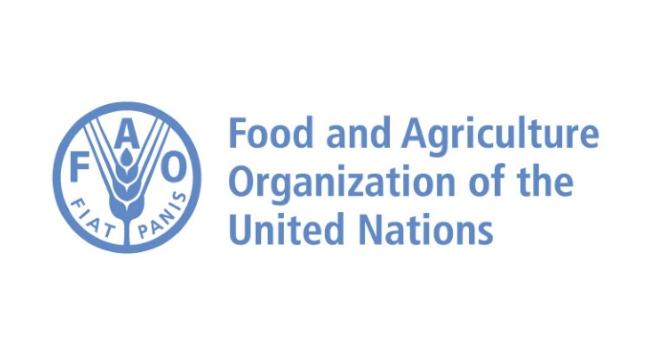 FAO-logo-onu-1280x720