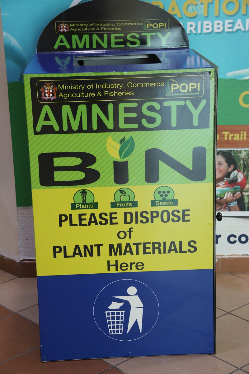 Amnesty Bin - Copyr