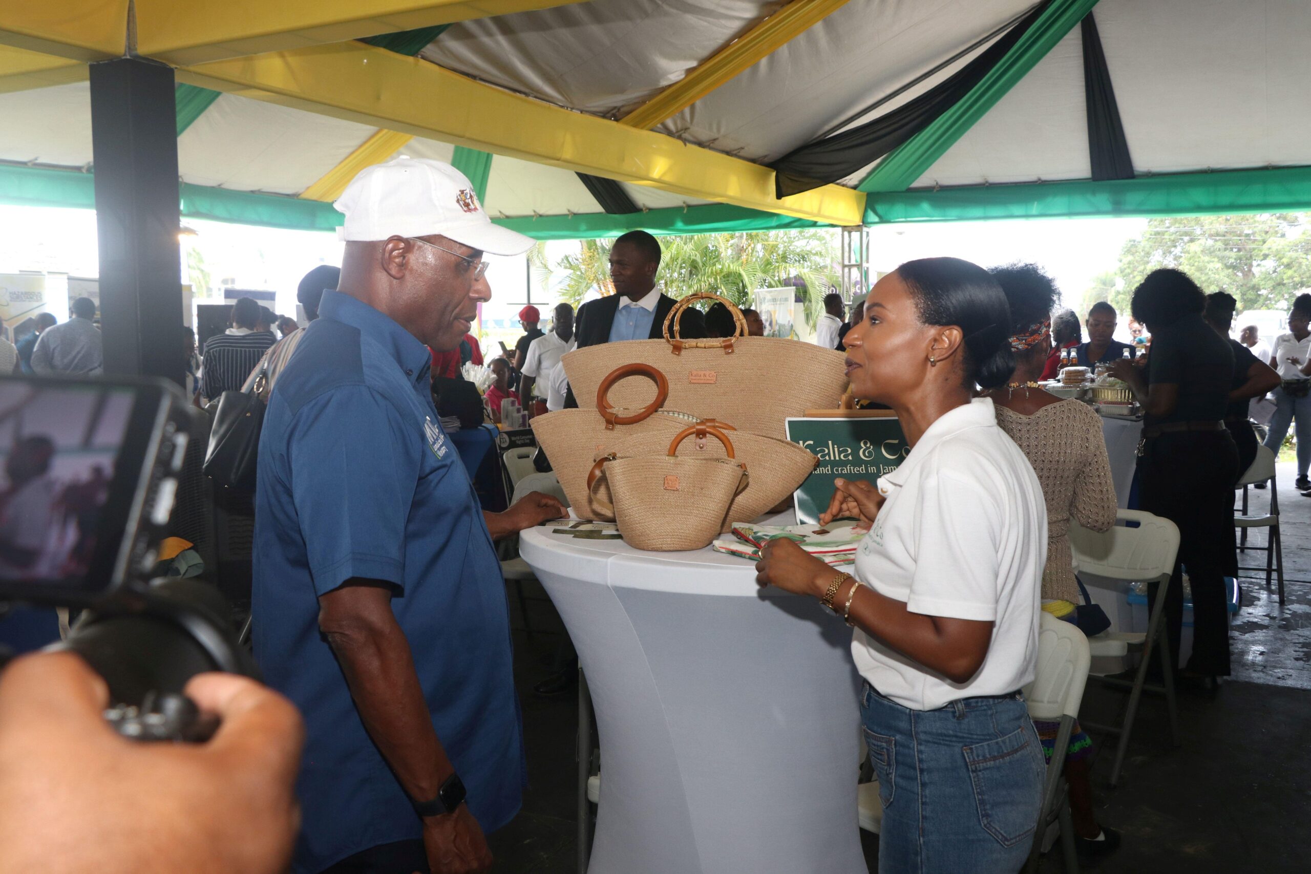 Senator the Hon. Aubyn Hill engages with Taneish Miller, CEO of Kalia and Co. Designs, during his tour of booths at the MSME Business Roadshow at The Mannings School in Westmoreland on June 18, 2025.