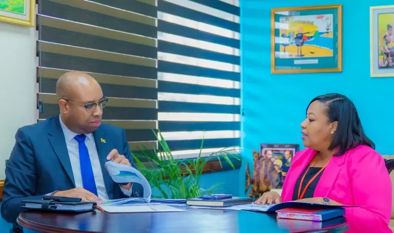 Minister of state in the Ministry of Industry, Investment and Commerce Delano Seiveright, in discussion with Government Trustee Elece Campbell.