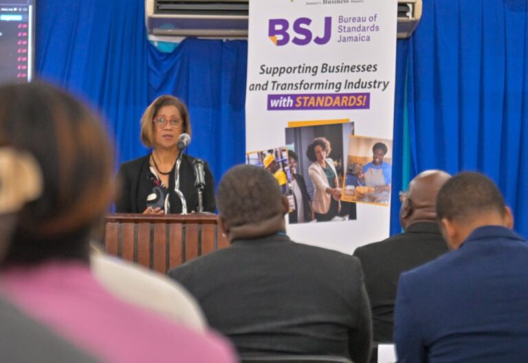 Permanent Secretary in the Ministry of Industry, Investment and Commerce, Sancia Bennett Templer, delivers remarks during the Bureau of Standards Jamaica (BSJ) launch of Information and Communications Technology (ICT) Accessibility Standards. The event took place at the BSJ Multipurpose Facility in Kingston on Wednesday (February 25)