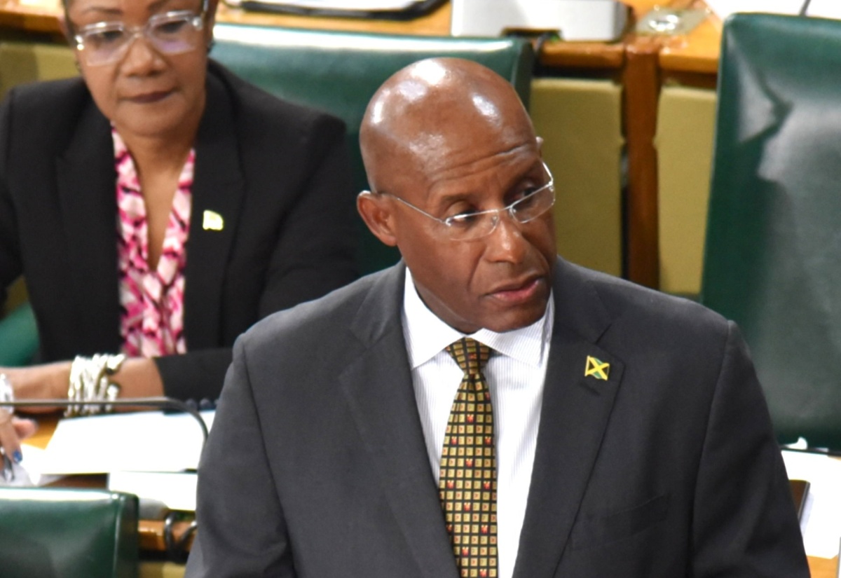 Minister of Industry, Investment and Commerce, Senator the Hon. Aubyn Hill, pilots the Conch Export Levy (Amendment) Act, 2026, during the sitting of the Upper House on Friday (May 22).