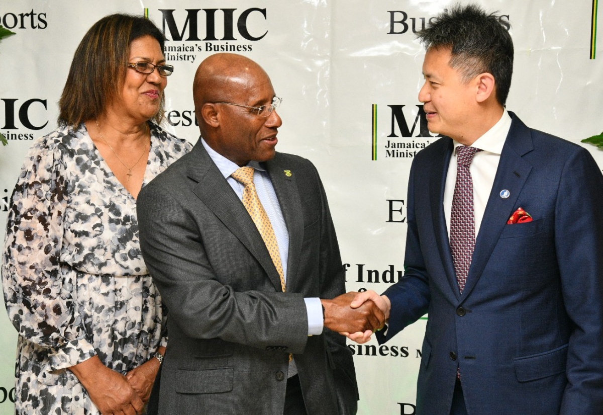 https://jis.gov.jm/jamaica-working-with-wipo-to-strength-ip-protection/