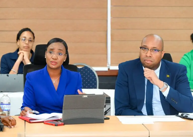 ...Government eyes stronger support as vendors point to imported products among major concerns