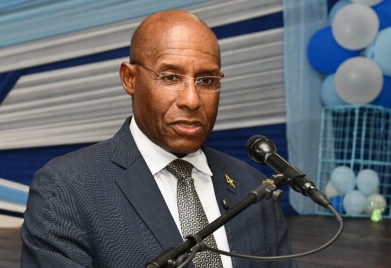 Minister of Industry, Investment and Commerce, Senator the Hon. Aubyn Hill, addresses the audience at the Immaculate Conception High School (ICHS) Young Entrepreneurship Day, held at the school in Kingston on May 29.