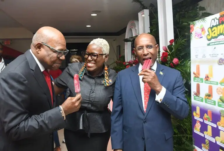 Minister of Tourism Edmund Bartlett (left) and Minister of Industy, Investment, and Commerce Aubyn Hill (right) try a popsicle made by Kadine Harvey's locally owned business, Fruit Blossoms. (Photo: Naphtali Junior)