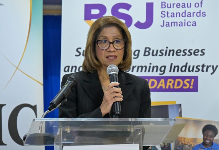 Permanent Secretary, Ministry of Industry, Investment and Commerce, Sancia Bennett Templer, addresses the launch of the ISO/IEC 27001 Information Security Management Standard, at the offices of the Bureau of Standards Jamaica in St. Andrew on Wednesday (July 8).