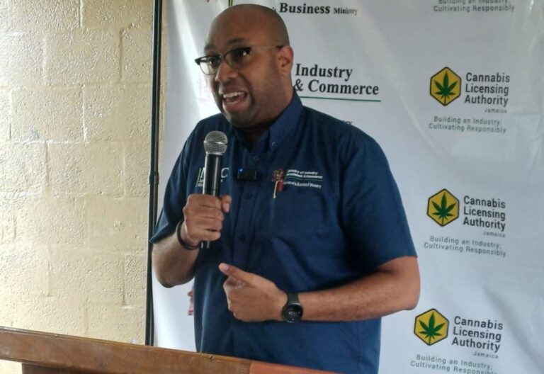 Minister of State in the Ministry of Industry, Investment and Commerce, Hon. Delano Seiveright, addresses the launch of the Special Cannabis Permit Road Tour at the Newell High School in St. Elizabeth, on July 10.