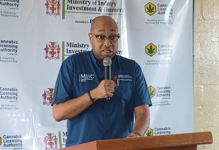 Minister of State in the Ministry of Industry, Investment and Commerce, Hon. Delano Seiveright, addresses the launch of the Cannabis Permit Road Tour, at the Newell High School in St. Elizabeth on July 10.