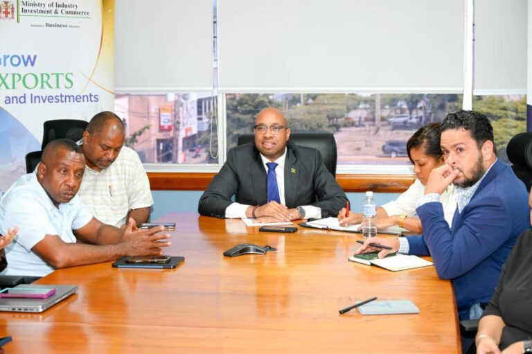 New Kingston revitalisation plan enters implementation phase