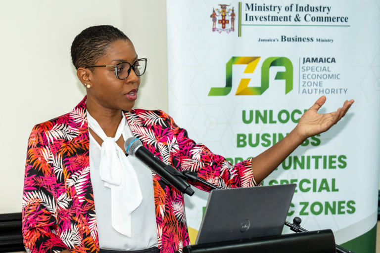 Chief Executive Officer of the Jamaica Special Economic Zone Authority (JSEZA), Kelli-Dawn Hamilton, addresses stakeholders during a consultation on the development of Jamaica's Special Economic Zones (SEZ) Master Plan, at The Jamaica Pegasus hotel in New Kingston on July 16. (Photo: JIS)