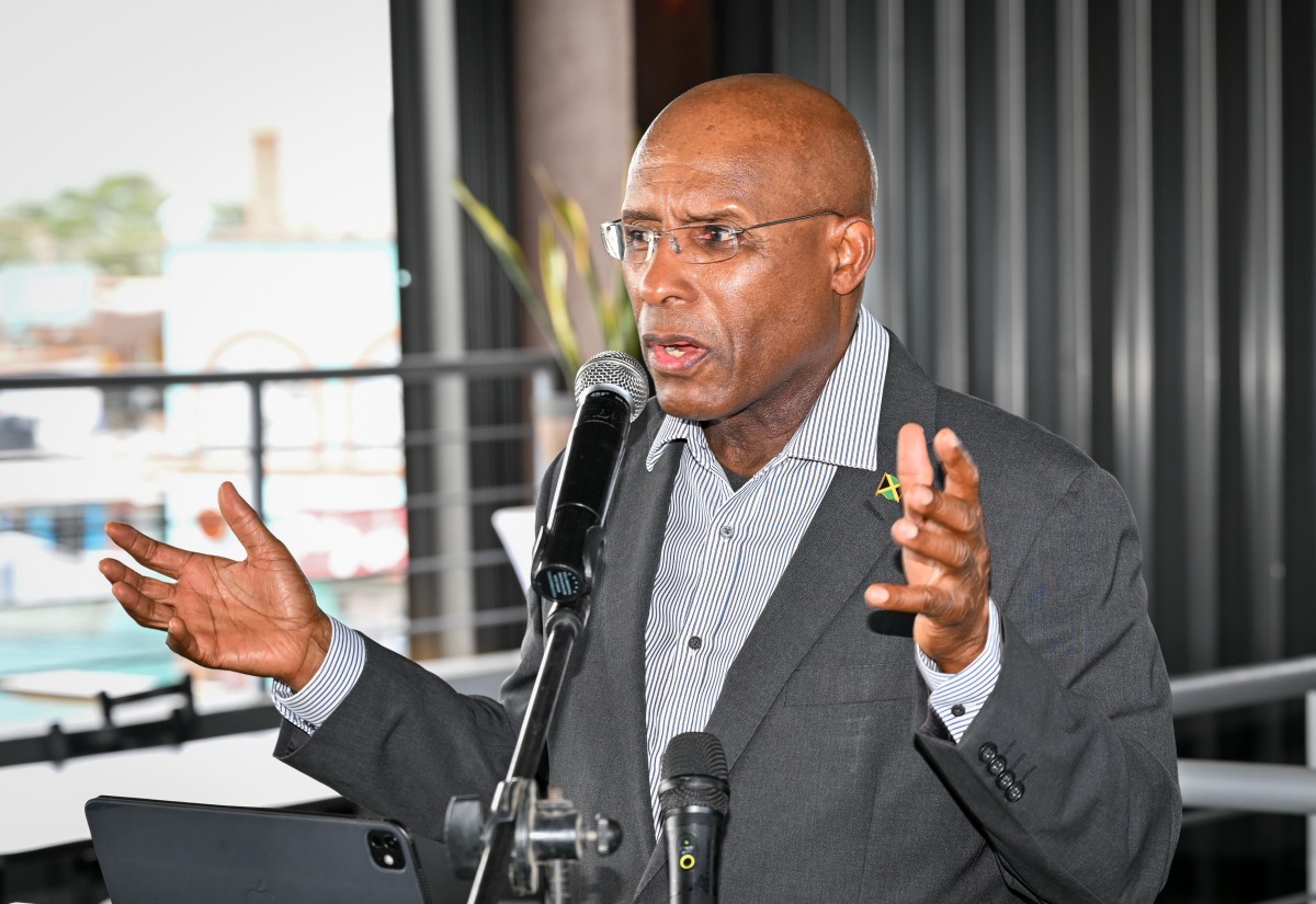 Minister of Industry, Investment and Commerce, Senator the Hon. Aubyn Hill, delivers remarks during the South St. Catherine All-Island Chamber of Commerce Luncheon Meeting on Saturday (August 15) at Rooftop Chillinz Restaurant in Old Harbour.