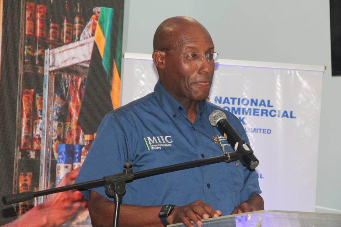 Senator Aubyn Hill, Minister of Industry, Investment and Commerce, addressing the Montego Bay community at a meeting hosted by the National Commercial Bank and the Montego Bay Chamber of Commerce and Industry on Wednesday evening in Fairview, St James. Photo - Janet Silvera